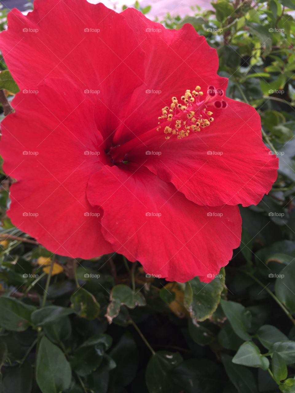 You only live once so make the best out of it