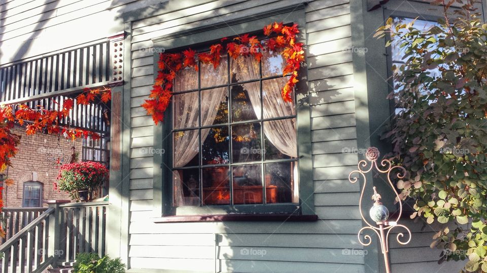 Seasonal Trimmings. Window Dressed for Autumn