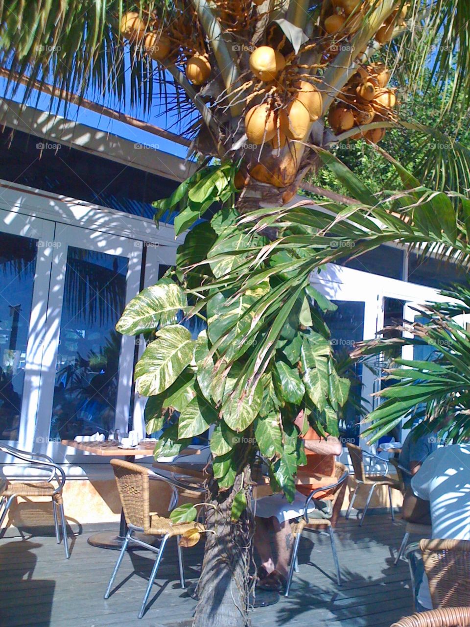 Breakfast on the beach 