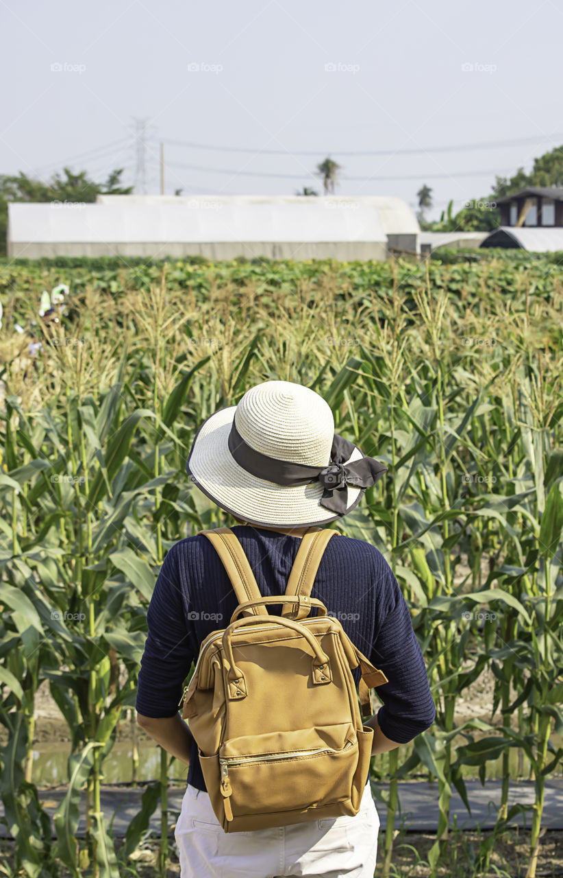 Women shoulder backpack and Wear a hat Background corn fields