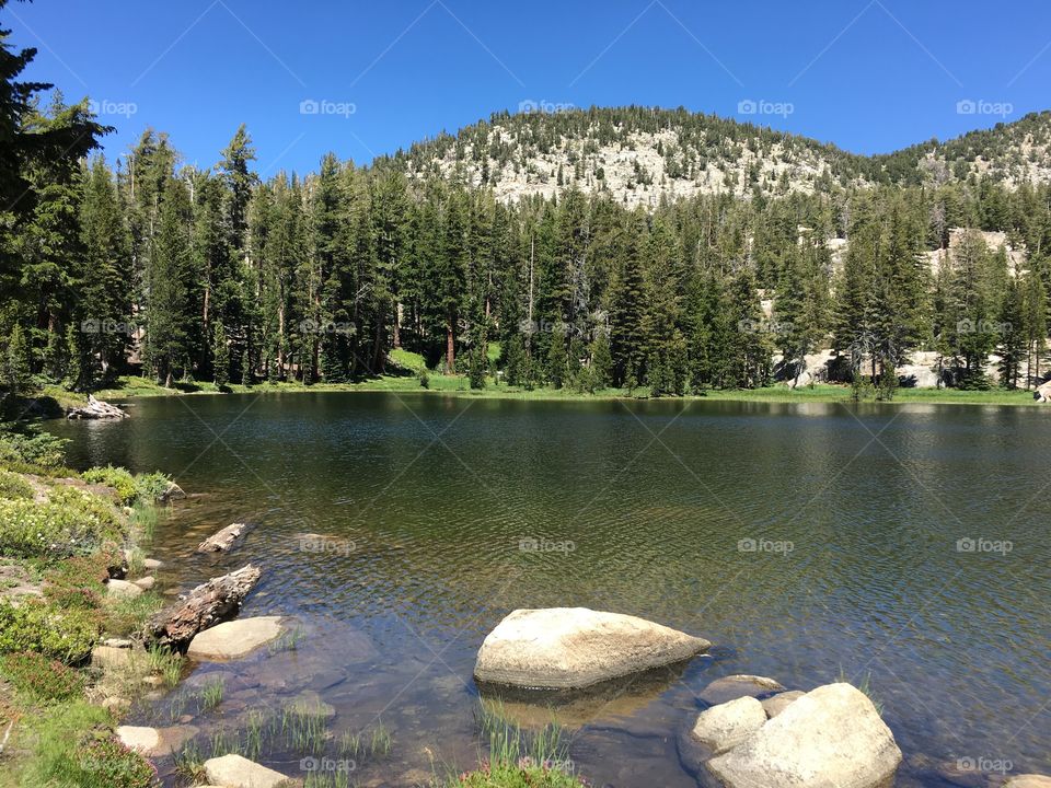 Grant Lake
Yosemite National Park