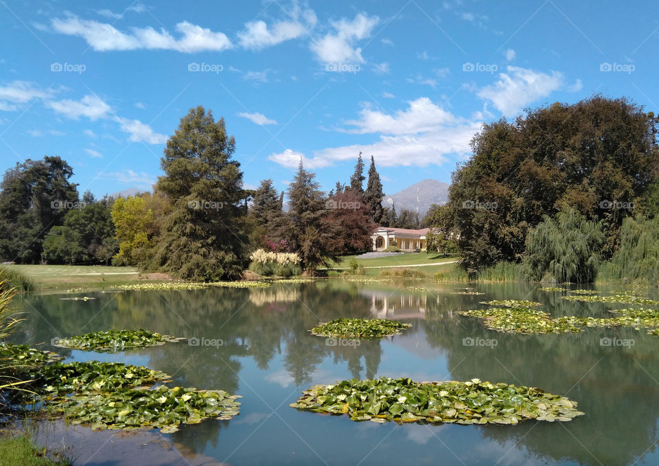 Countryside huse and lake with water lilly, slow life, beautiful landscape