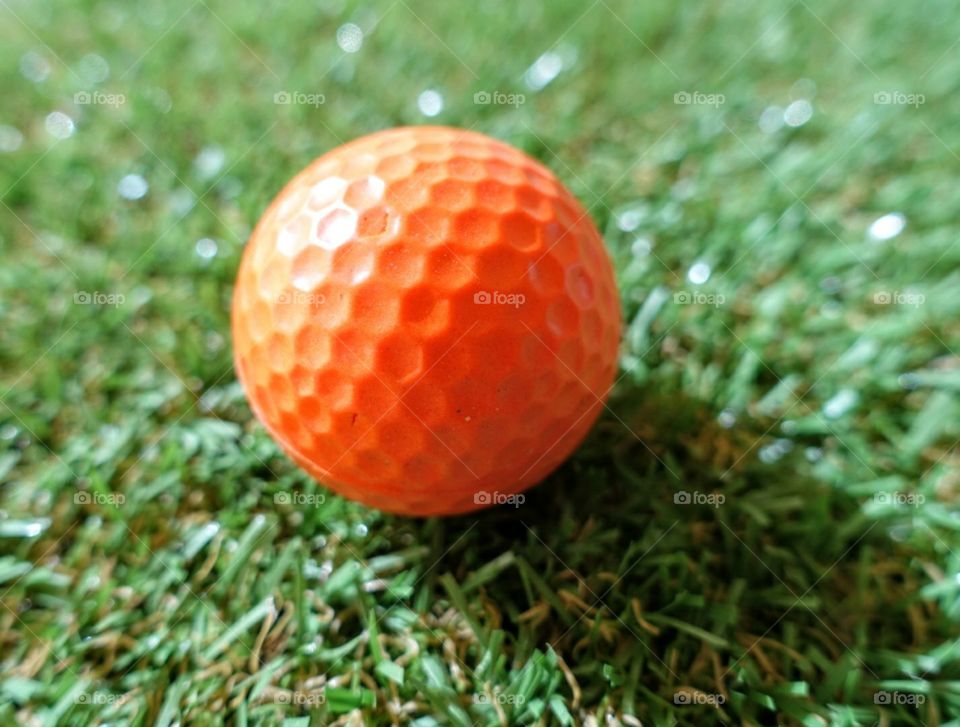 Golf ball on grass