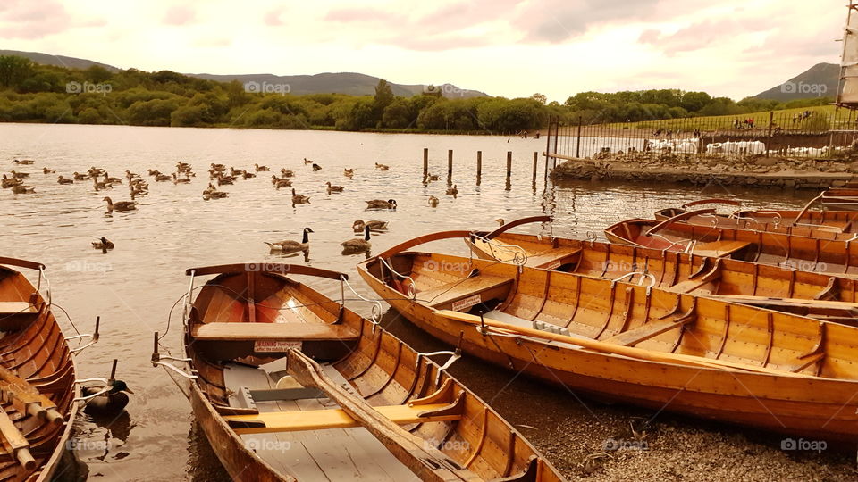 wooden rowing boats.
