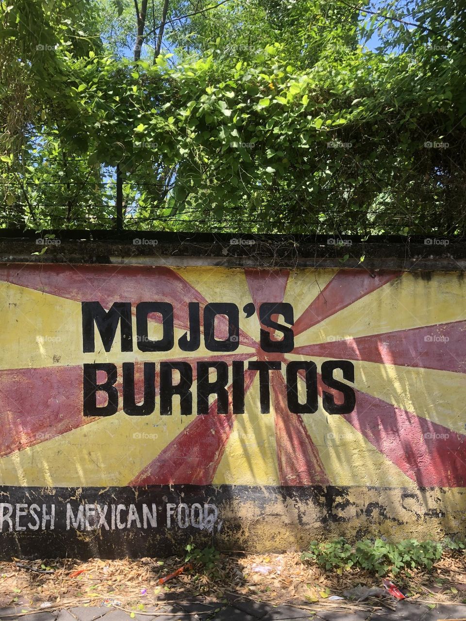 Who do like burritos 