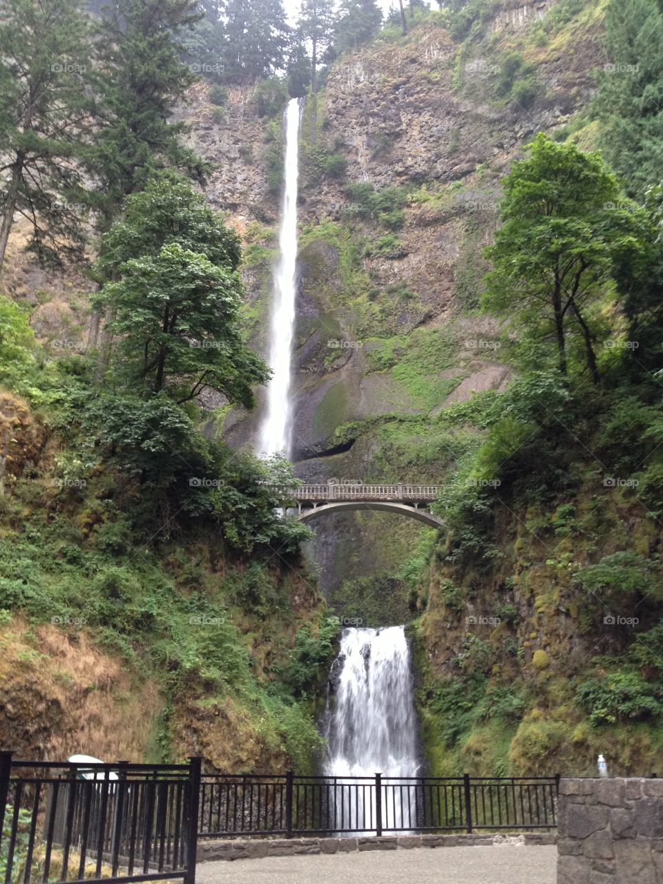 Multnomah Falls. On our way to the Oregon coast. 