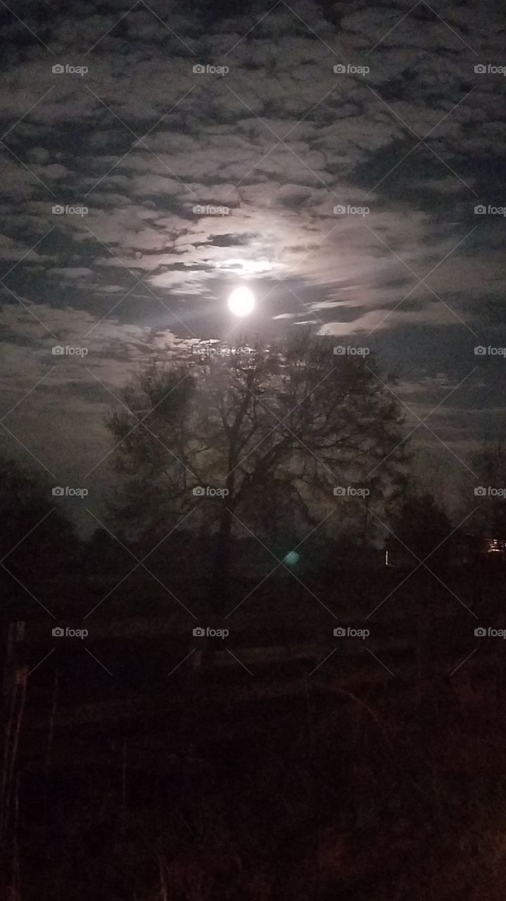 moon