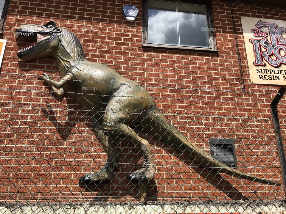An example of a life sized model dinosaurs that they manufacture here.