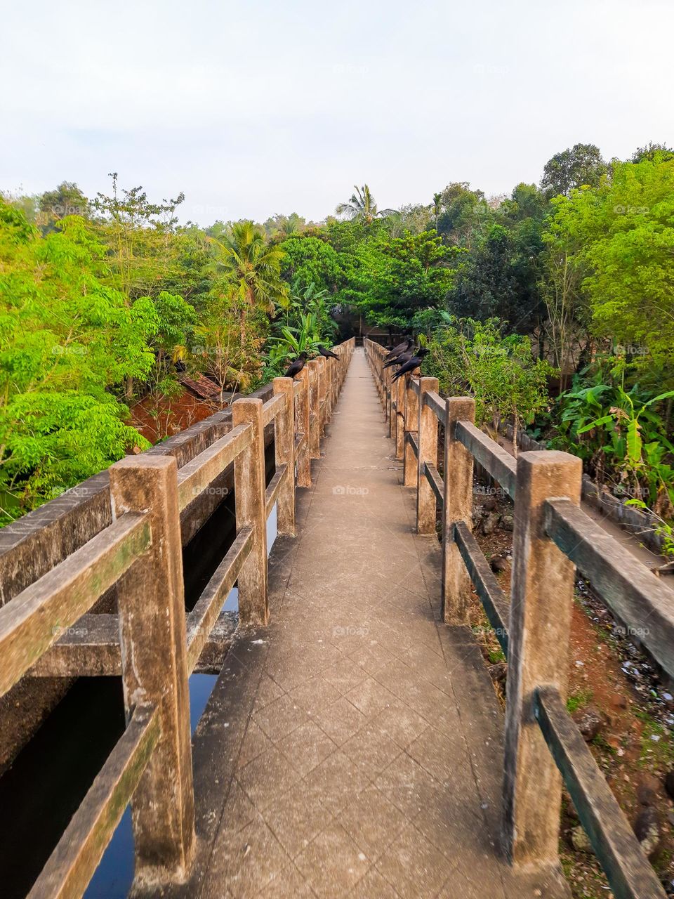 Longest and Tallest Aqueduct- Hanging Trough