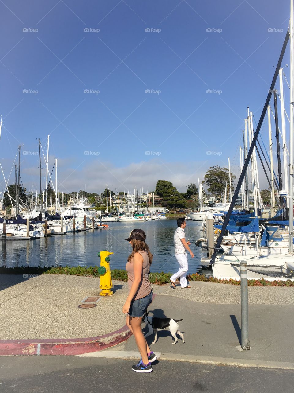 Walking in the harbor 