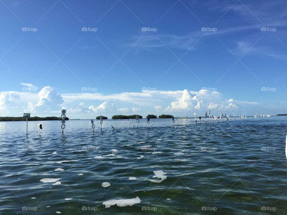 Toilet Seat Cut, Islamorada, Florida 