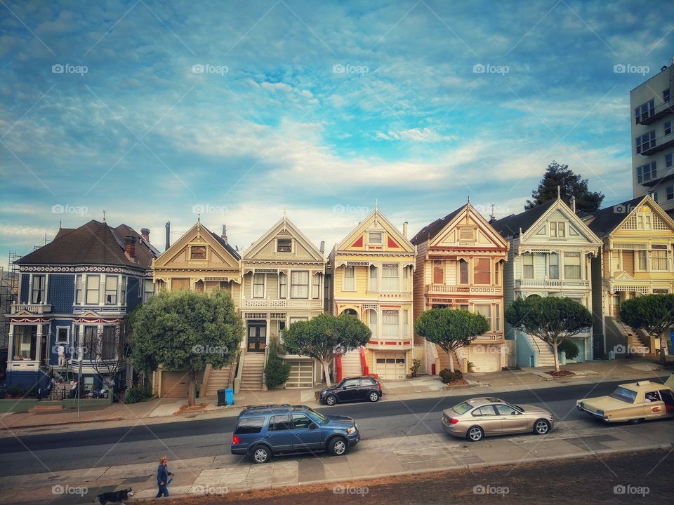 The Painted Ladies