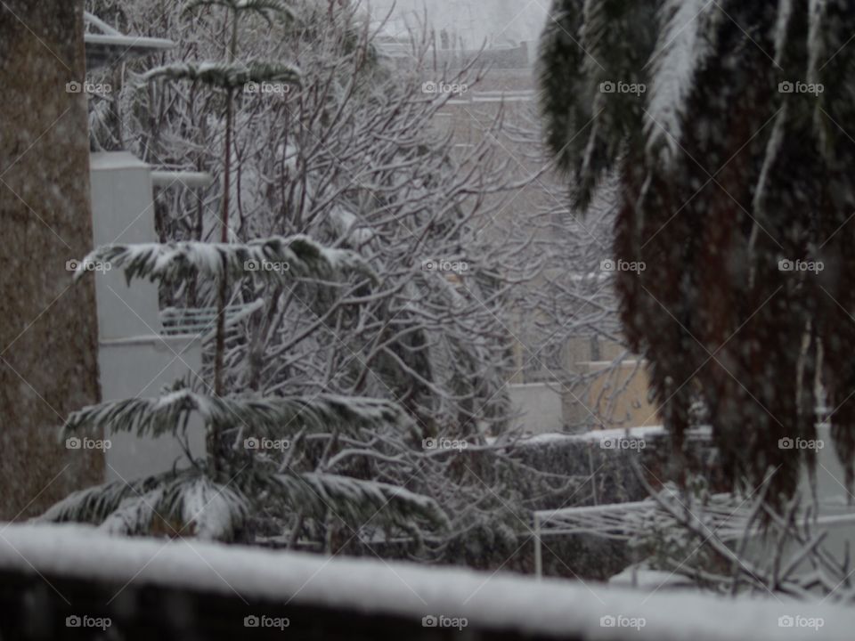 Snow in Barcelona