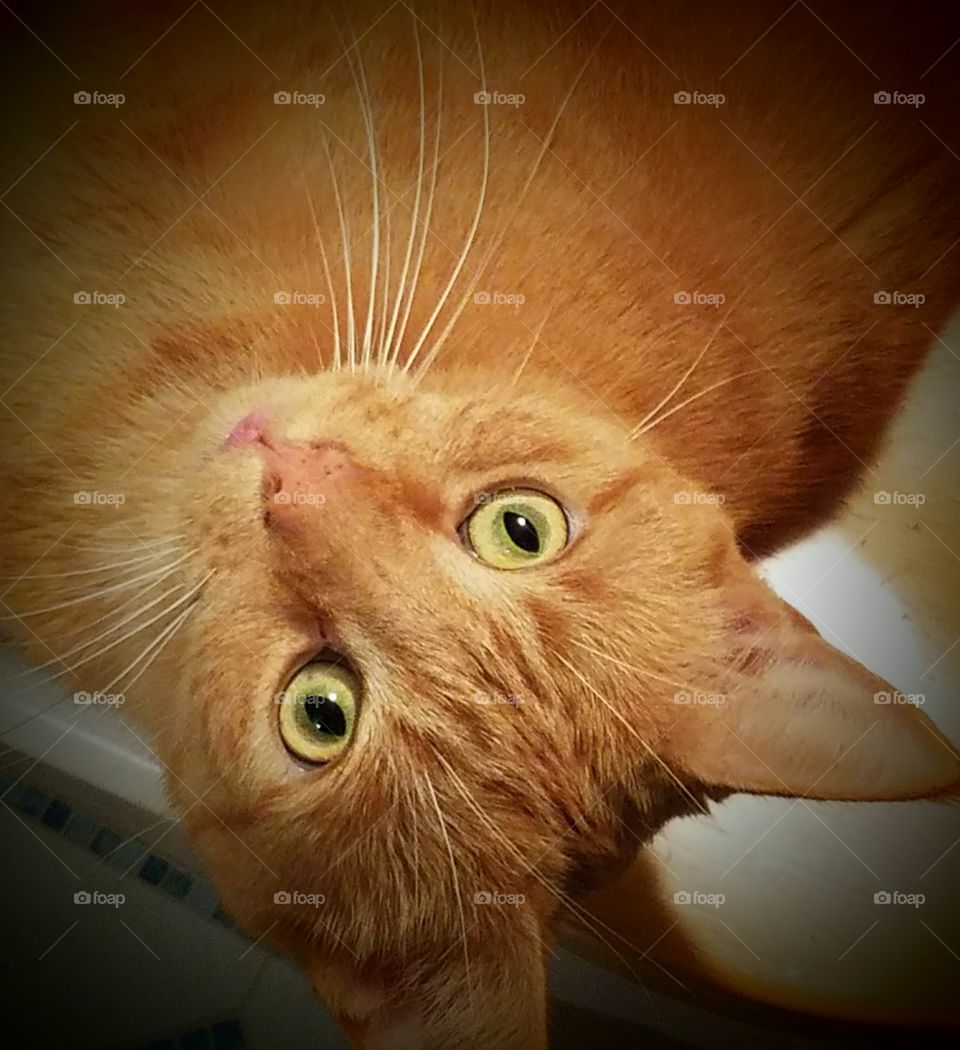 Who me...I'm not doing anything