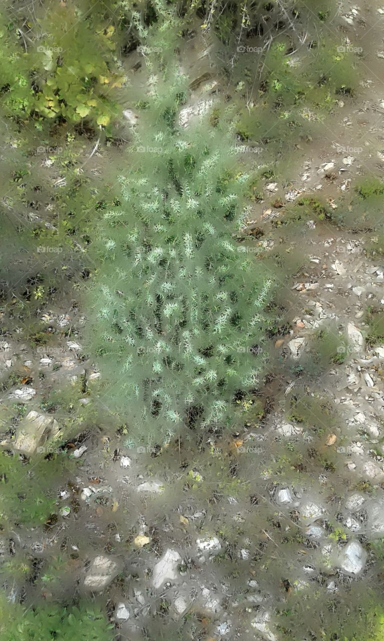 Its a small christmas tree but i make it up a little bitt.