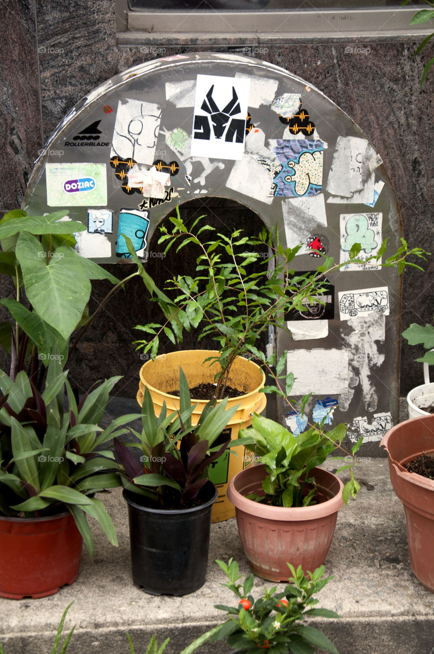 Garden on Steps, Philadelphia