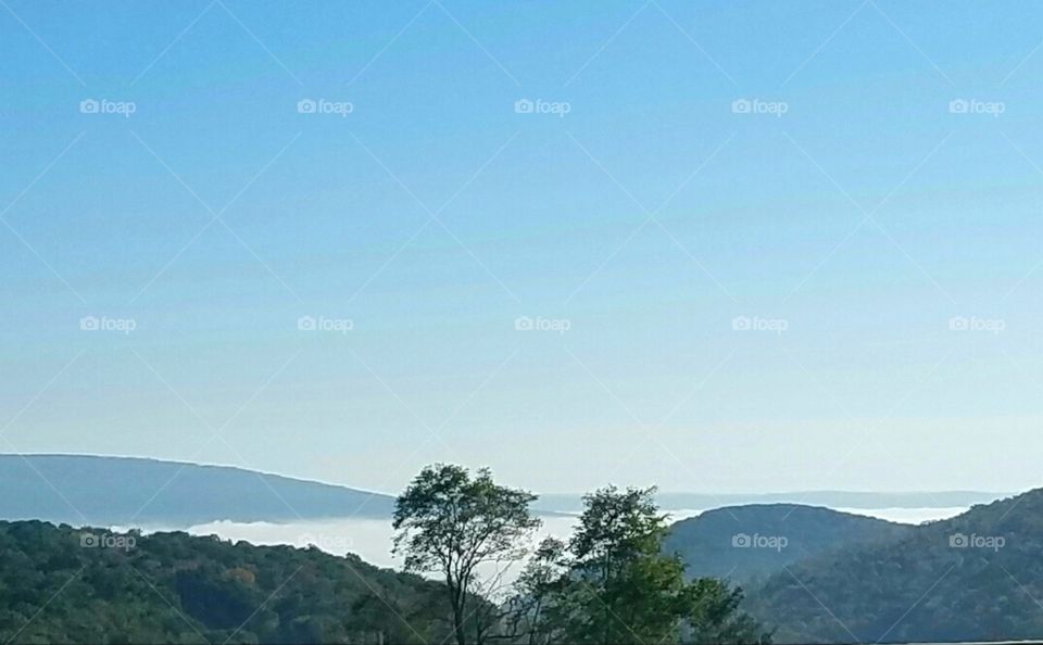 fog in the Allegheny mountains