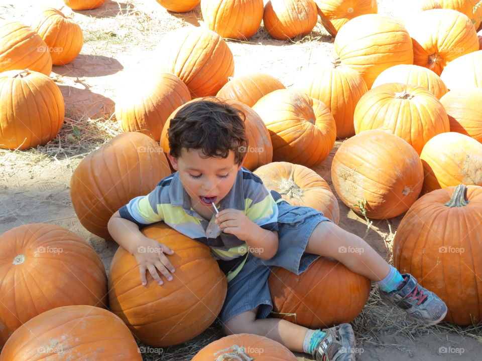 Boy laying in a pumpkin patch while eating a sucker.