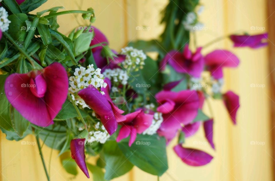 Flower crown - snowpea flower with snow white flowers