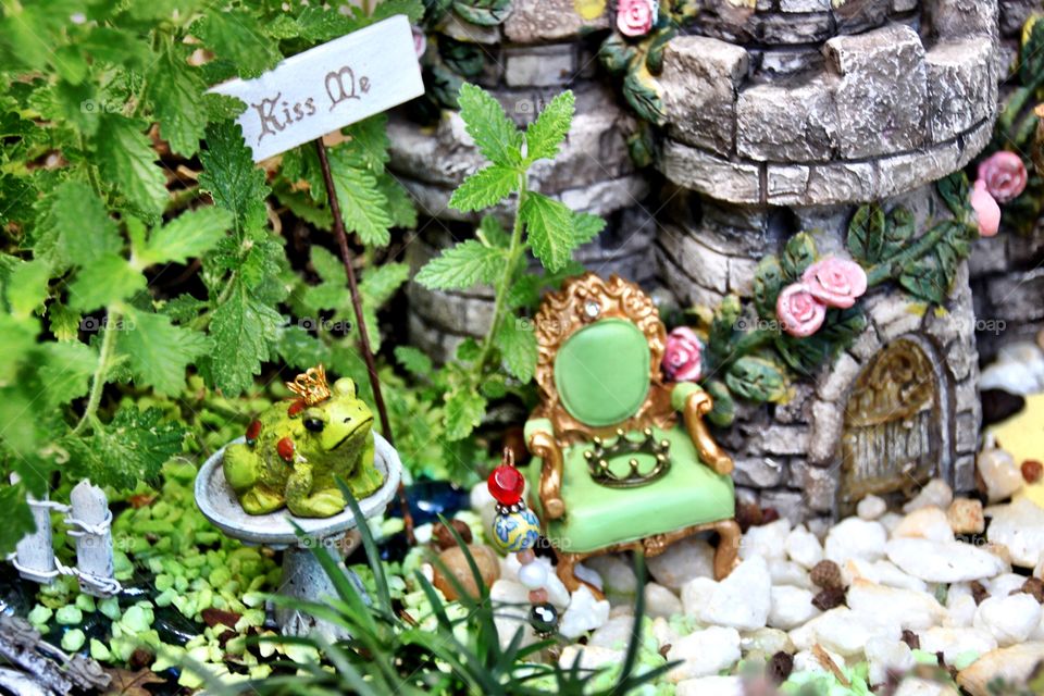 Miniature Fairy Garden 