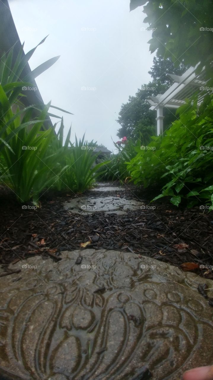 A Rainy Garden Trail