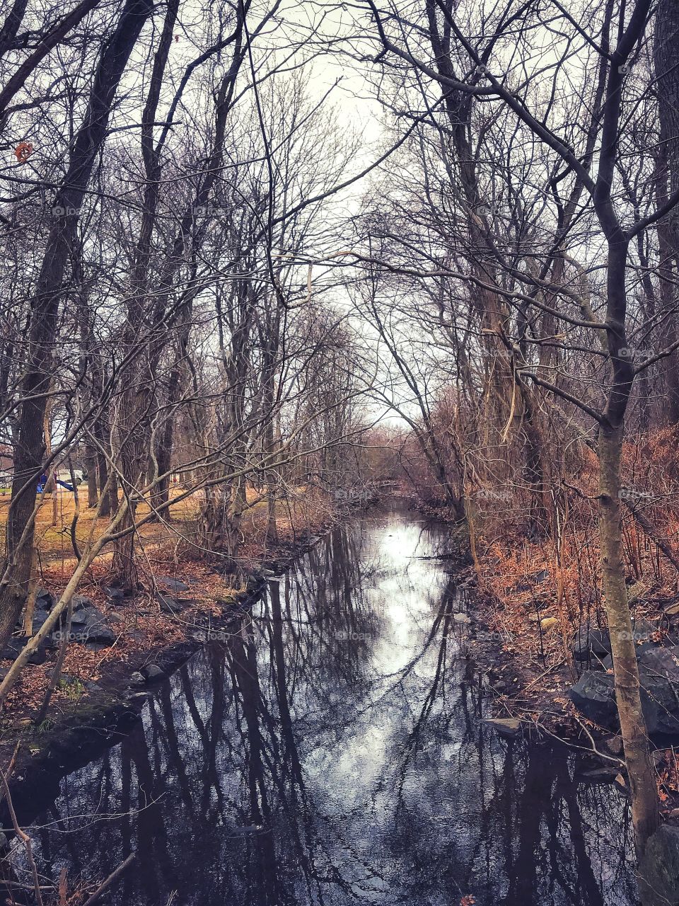 Out for a winter walk around the neighbourhood 