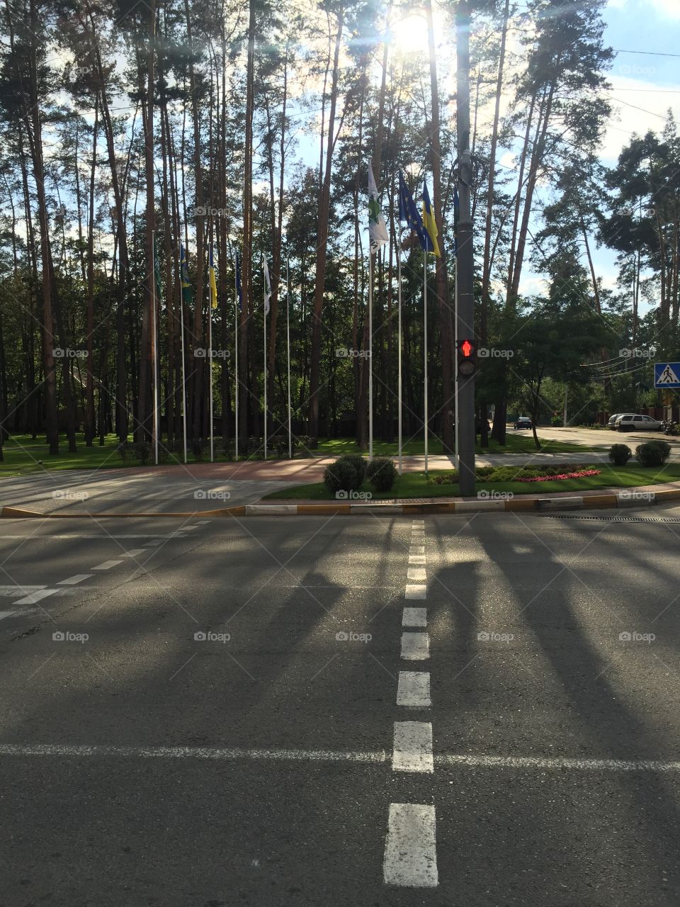 Red light on a crosswalk 