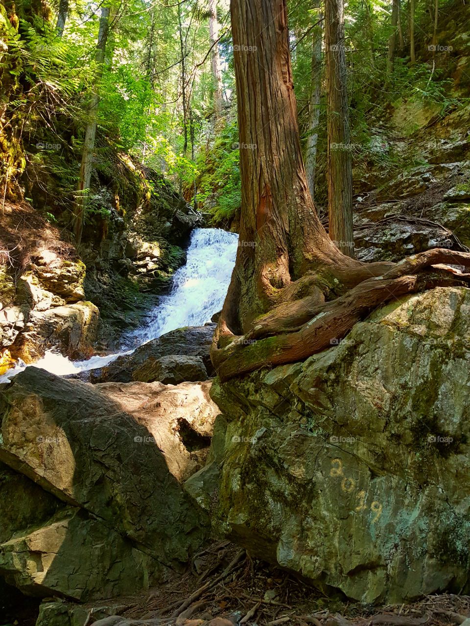 2019 Was A Beautiful Year✨
Did You Chose To See It As Such ? ☄

📍British Columbia, Canada 🇨🇦