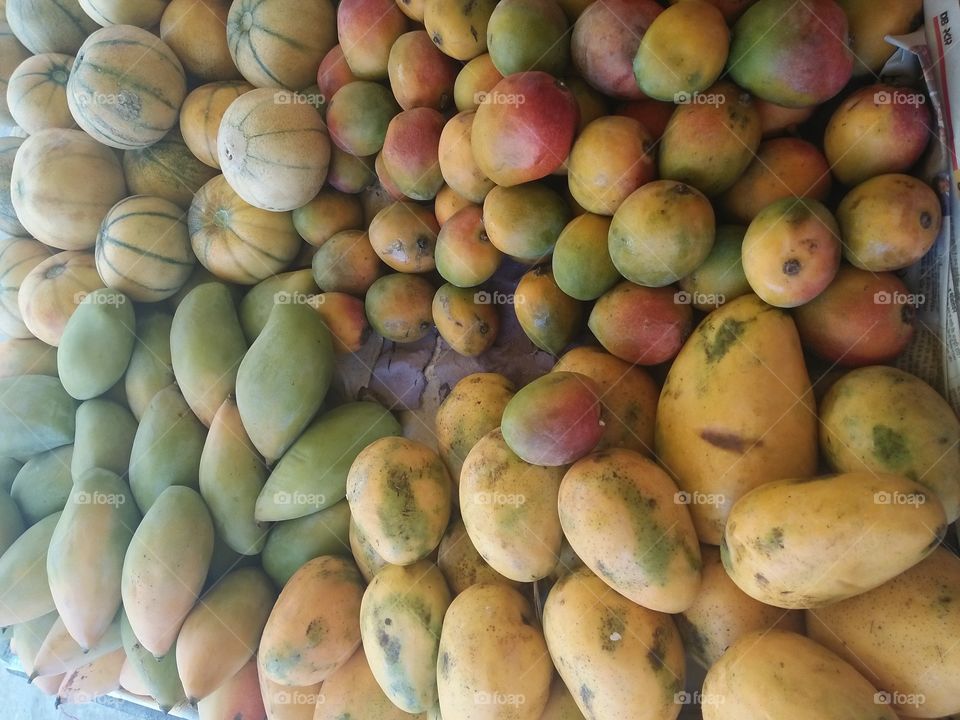 Mango fruit