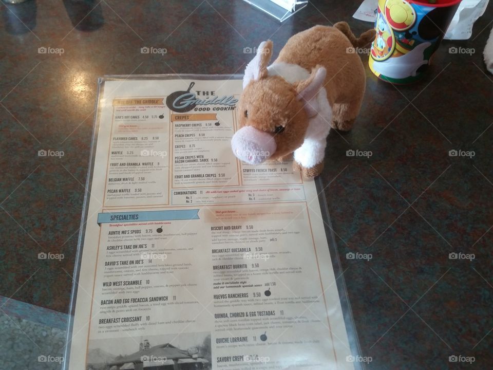 pigglett having breakfast with us in Winnemucca Nevada