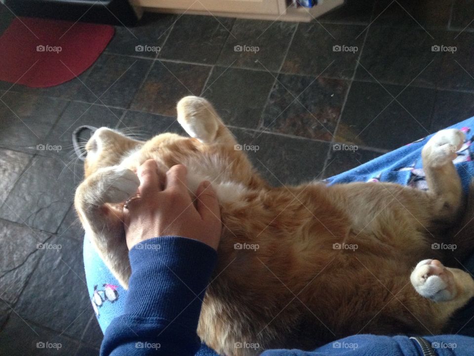 Love my belly rubs