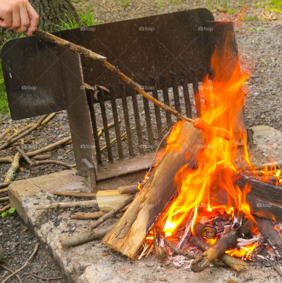 Campfire Grilling