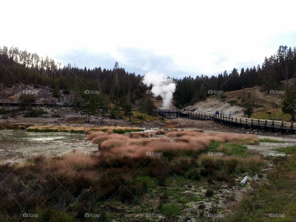 Mud Geyser viewing deck.