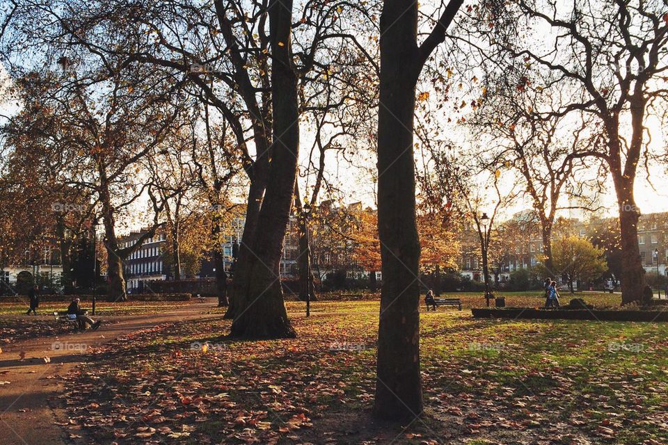 Russel Square Gardens