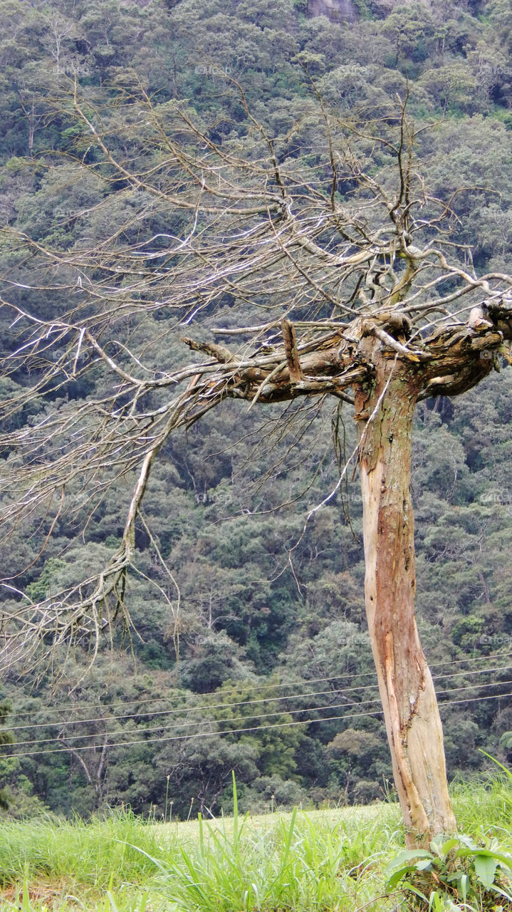 Amdaywewa farme Sri Lanka