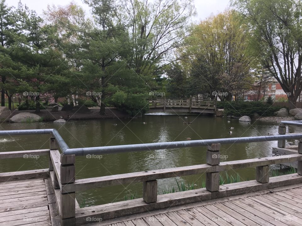 Large pond by bridge 
