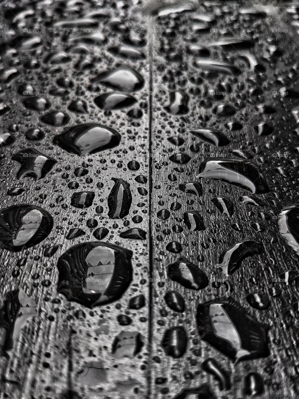 water droplets on wood in monochrome