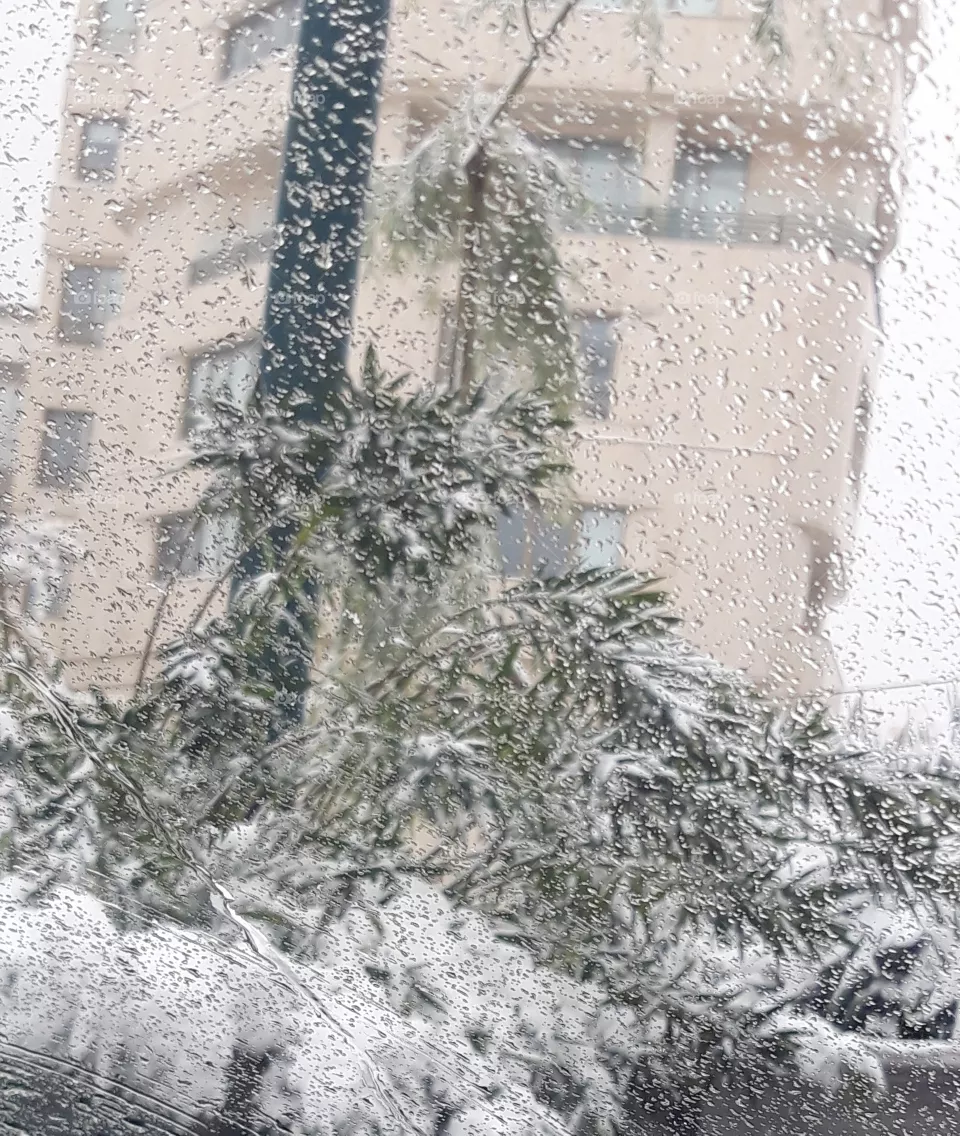 snow