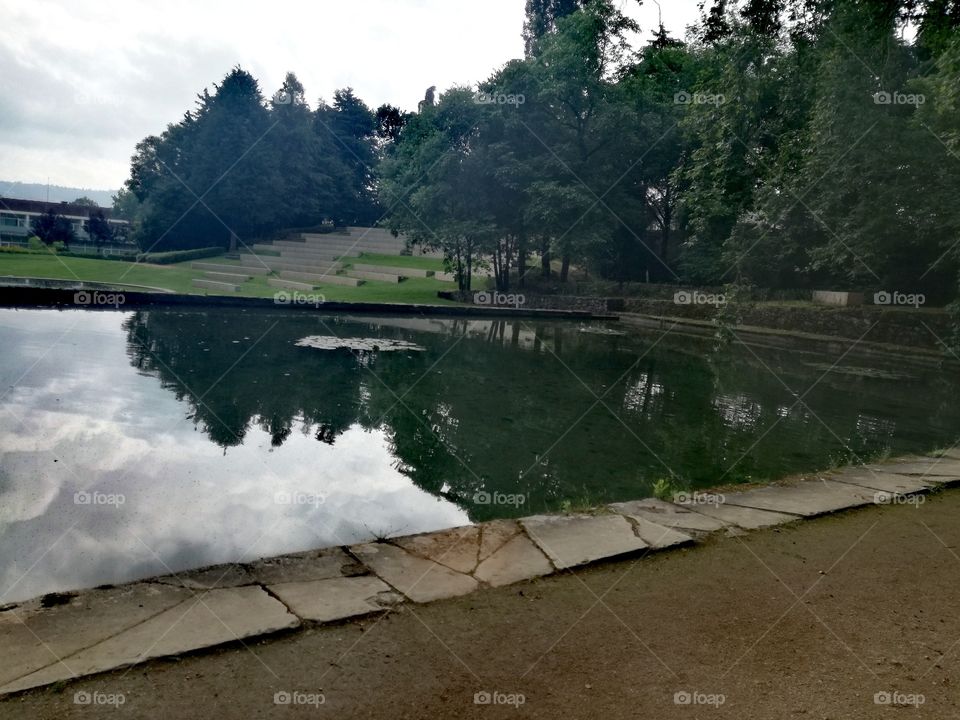Parque com árvores reflectidas na água