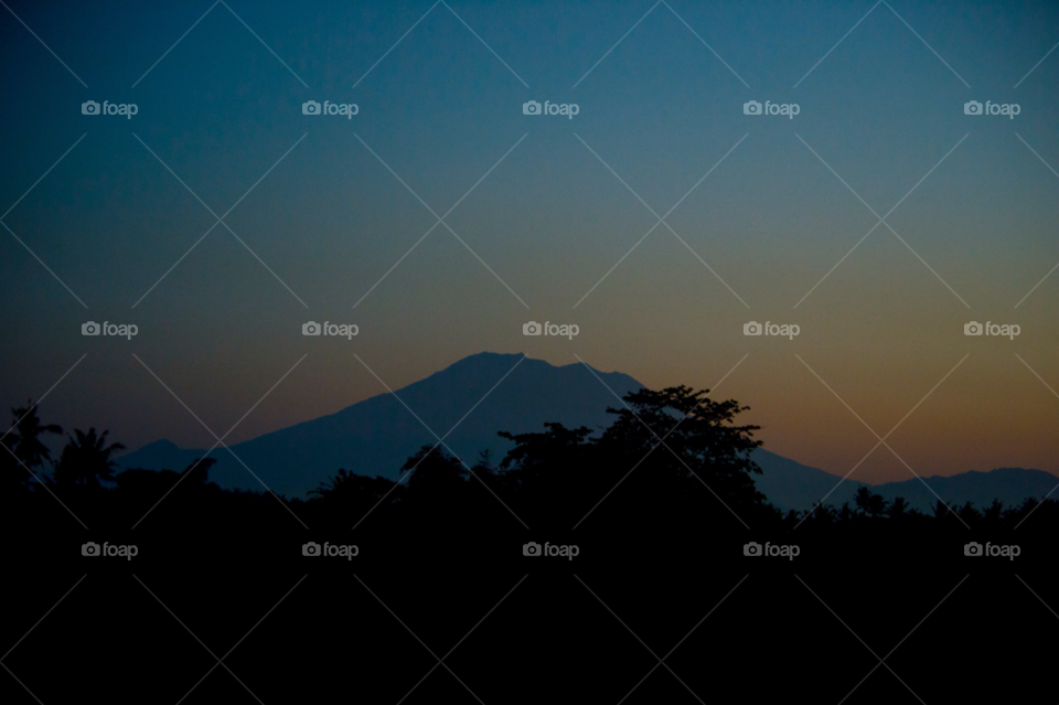 sky blue morning trees by liquideyes