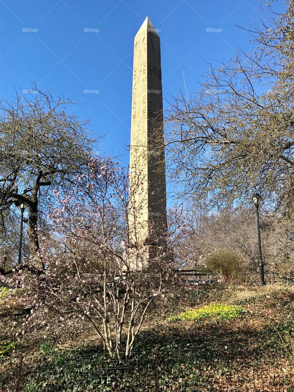 Egyptian Obelisk in Central Park, NYC 