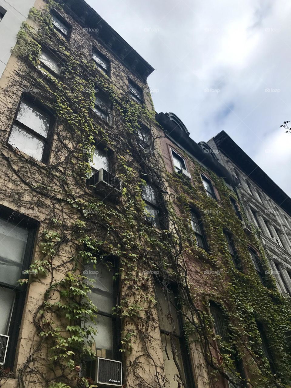 Vibes growing up building