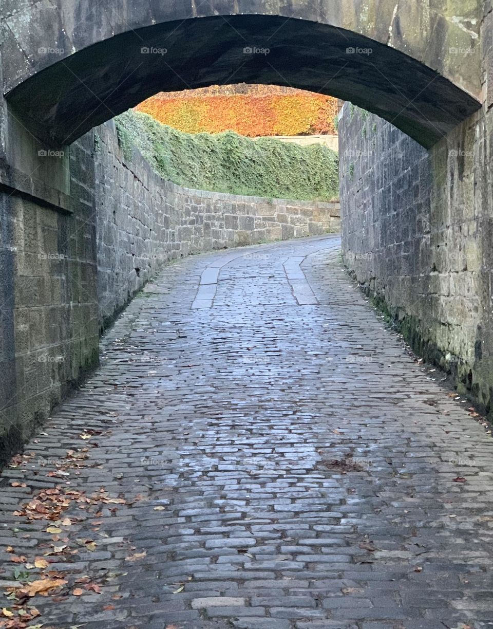 Path under the bridge