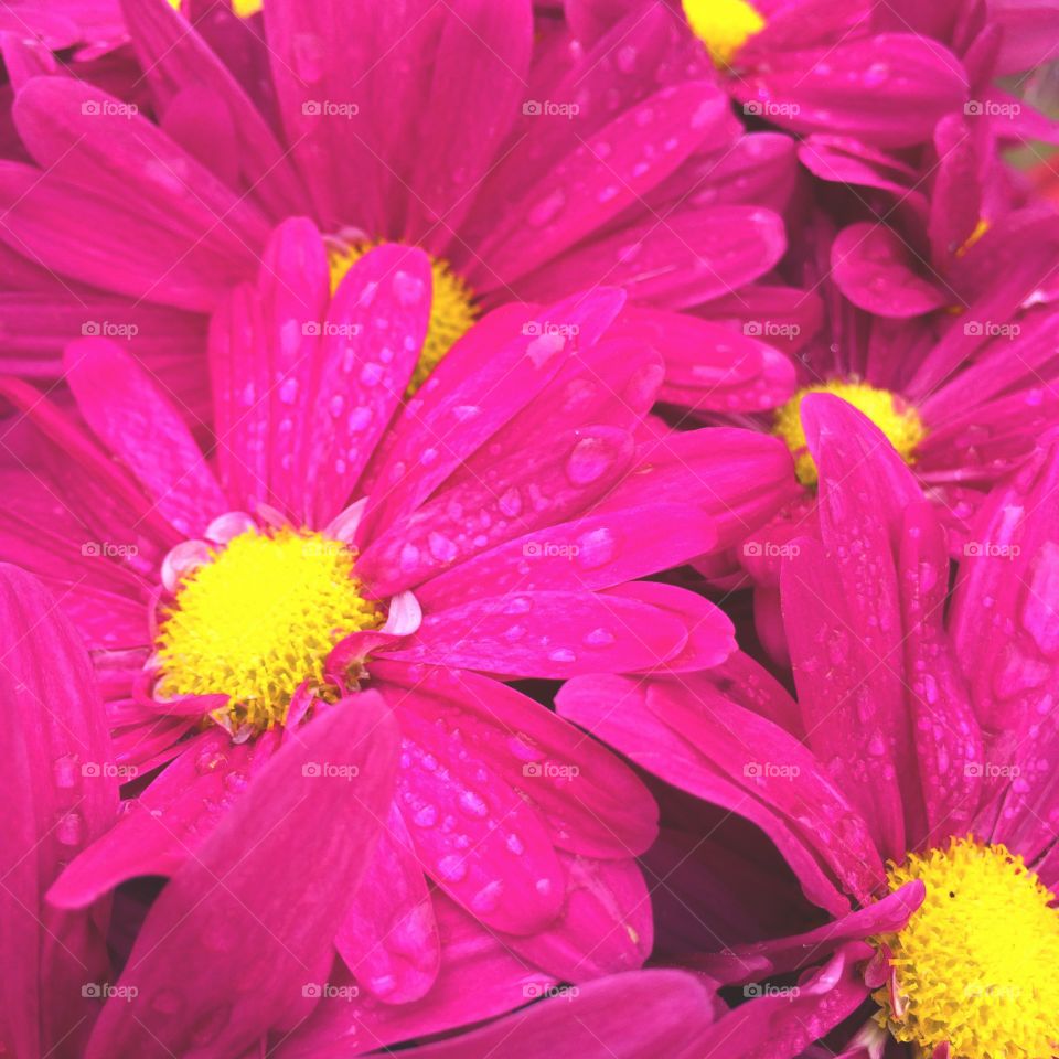Drops