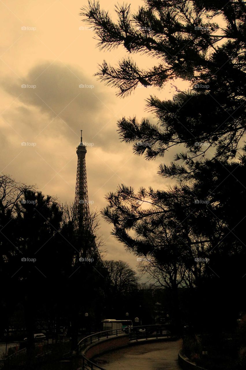 silhouette of the Eiffel tower