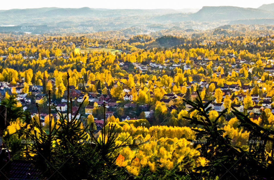 View of cityscape during autumn