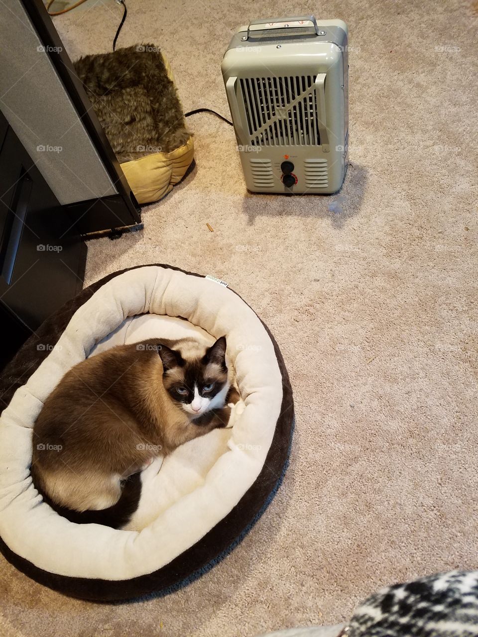 keeping warm by the heater