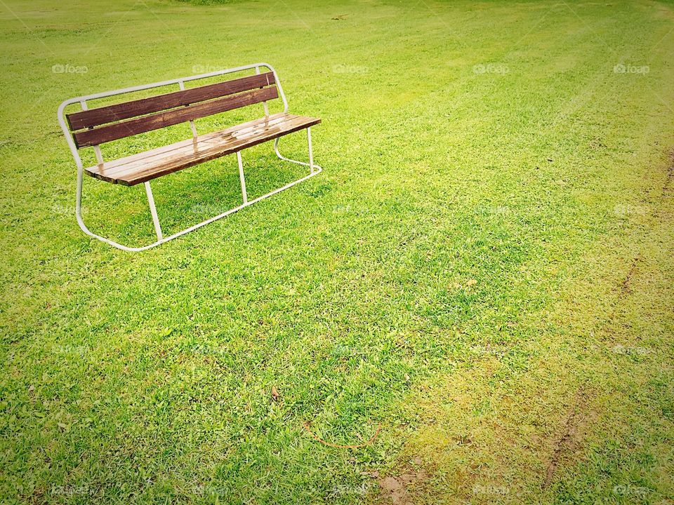 Loneliness. Rain soaked bench on the lawn