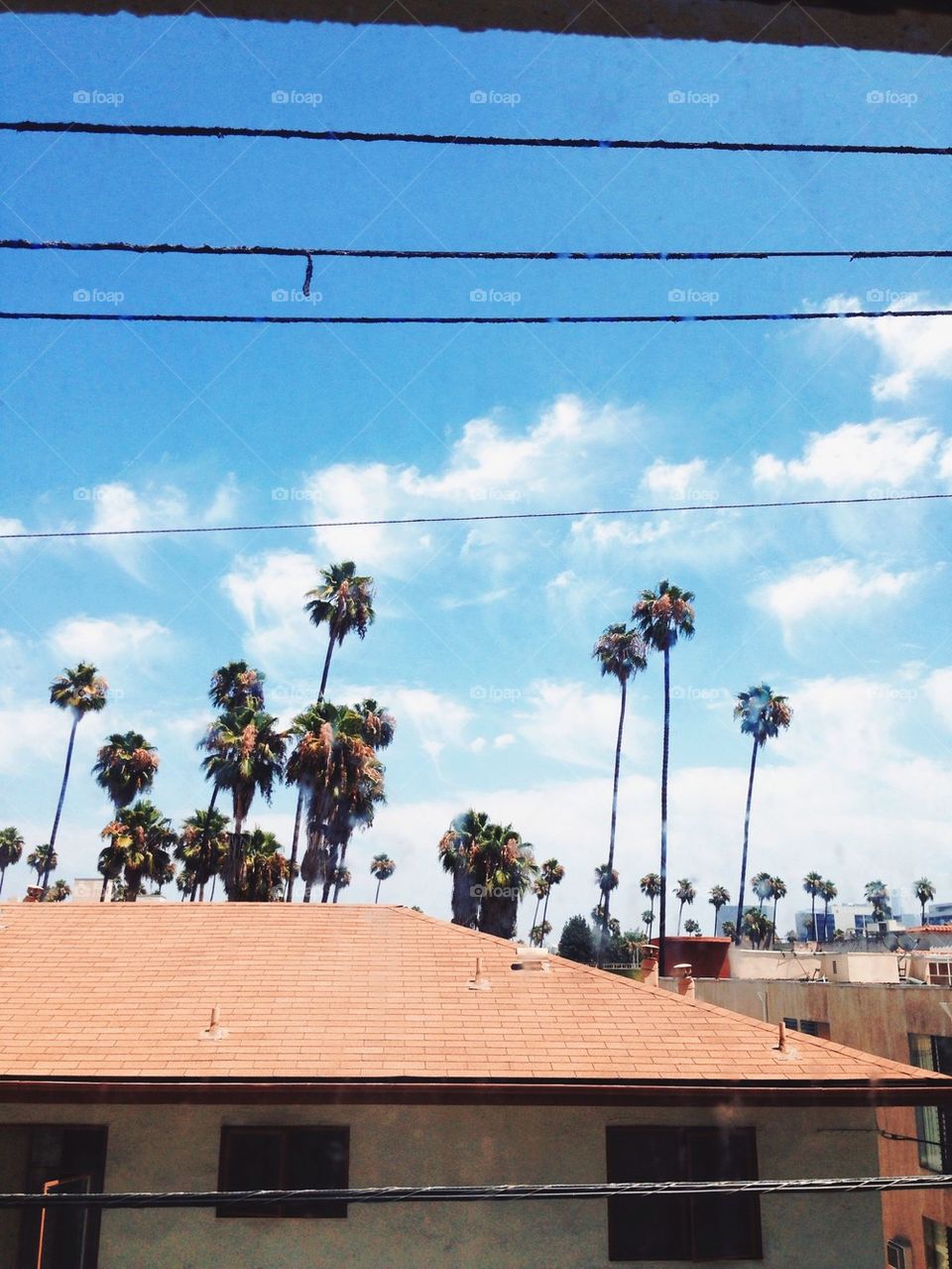 LA Rooftops