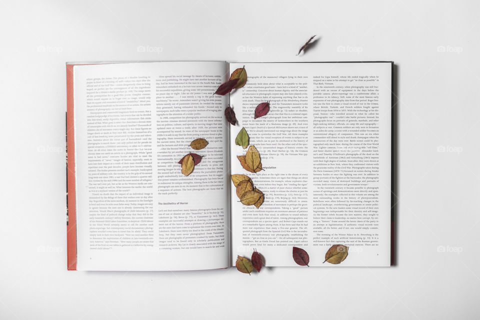 Flatlay opened book with leafs on